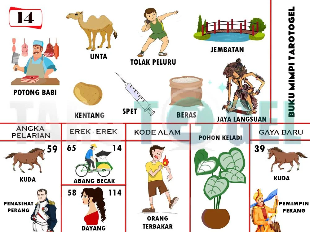 buku mimpi erek erek togel 14