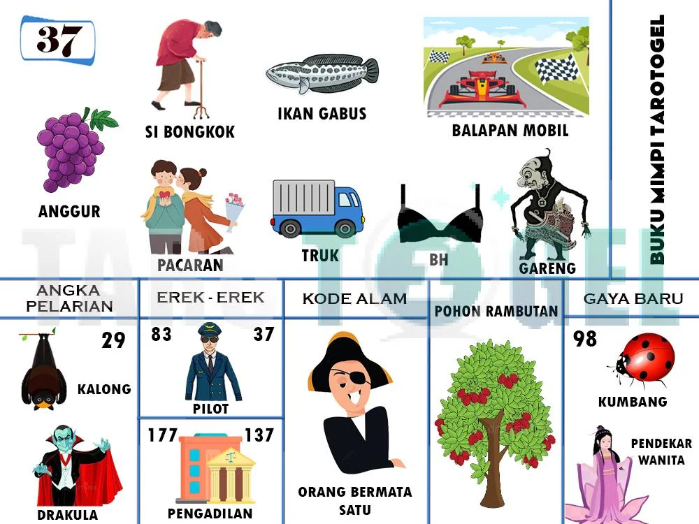 buku mimpi erek erek togel 37